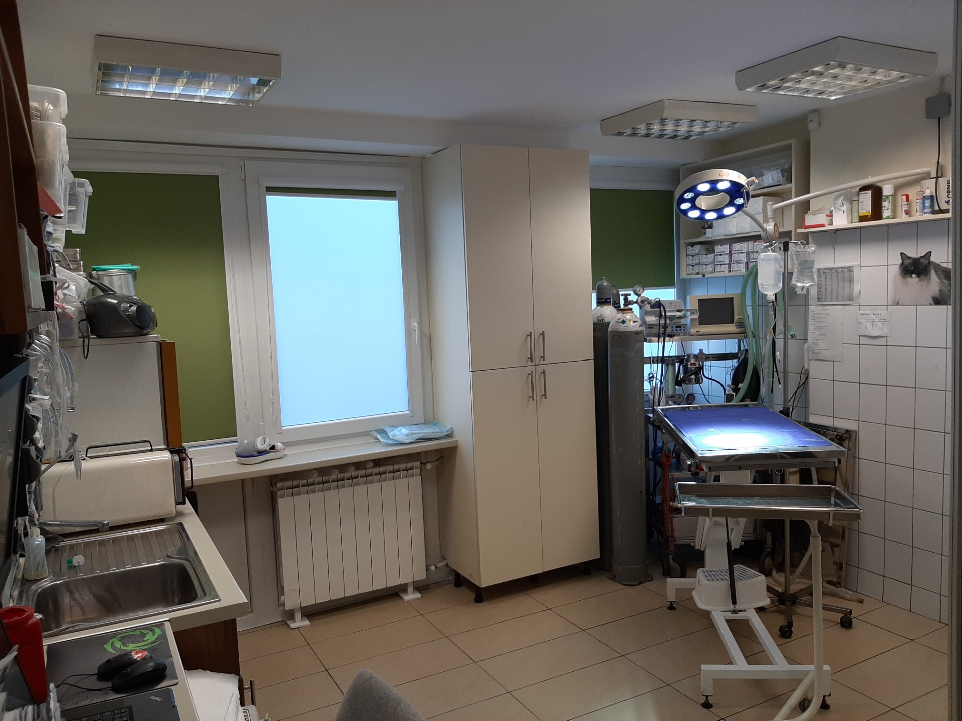 Haqiqiy rus uy qurilishi porno